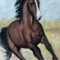 CAVALO