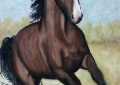 CAVALO