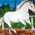 CAVALO